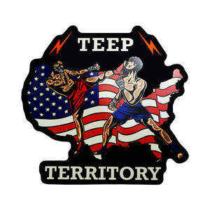 Pegatinas Promocionales, Muestra Gratuita, Impresión Personalizada, Logotipo Privado, Vinilo Mate y Brillante, Resistente al Agua, Pegatina Troquelada - Product Image 2