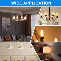 SAA Fancy 2700K Blanc Chaud LED Ampoules Dimmable Edison Bougie Verre Clair C35 avec Source de Lumière SMD E14 Base pour Plafond