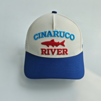 Casquette de baseball structurée pour la pêche en plein air, bicolore, personnalisée, avec broderie 3D en relief de poisson, découpée au laser et dotée de trous de ventilation respirants