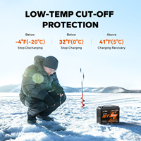 Batterie LiFePO4 LiTime 16V 30Ah à décharge profonde avec Bluetooth, IP65, 4000 cycles, pour kayak, sondeur de pêche, électronique de pêche, stock US EU AU JP CA