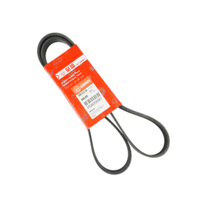 <span class=keywords><strong>Courroie</strong></span> <span class=keywords><strong>de</strong></span> <span class=keywords><strong>distribution</strong></span> en caoutchouc pour moteur automobile CM5Q6C301BA pour <span class=keywords><strong>Ford</strong></span> <span class=keywords><strong>Focus</strong></span> 15-18/Ecosport/Fiesta 13 1.0 - Product Image 5