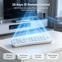 Control Remoto Inalámbrico IR de 11 Teclas con Código Fijo, Control Remoto de Voz para TV, Reemplazo de Plástico ABS para Android TV, OEM ODM Personalizado JCXK