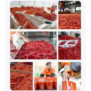 Máquina Procesadora de Pimiento y Chile, Equipo de Corte en Anillos, Picado, Trituración, Separación y Corte de Colas para Pimiento Fresco, Seco y Hojas de Té - Product Image 6