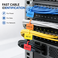 Etiquetas de Identificación para Logística, Autoadhesivas, de Nailon, RoHS REACH, Industriales, Escriturables, Grandes, con Cierre Automático, para Cables