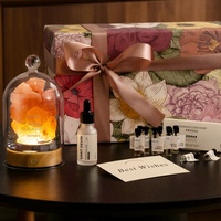 Huile Essentielle Végétale Naturelle Formule Douce Diffuseur en Pierre Personnalisé Coffret Cadeau pour Anniversaires Décoration d'Ambiance Chambre