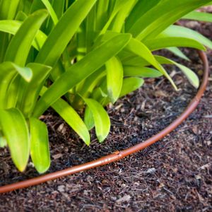 Agriculture 16mm X Irrigation/Hydroponics Dripline Hose Tubing with 6-8-12-16-20 Inch Emitter Spacing (Brown or Black) Drip Line - Product Image 2