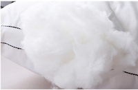 Oreiller en duvet d'oie blanc, en coton, pour hôtel, boîte matelassée, plumes d'oie, blanc, qualité supérieure, compétition