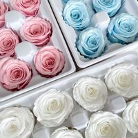 Eeuwige Roos Natuurlijk Ge conserveerde Bloem Materiaal 8 stuks in doos Verse Rozen Handgemaakt DIY Cadeau voor Kerstmis Moederdag Valentijnsdag