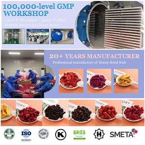 Guoyue Vente en gros Lyophilisation Argousier Morceaux entiers Baies FD Poudre de fruits de baies naturelles pures Lyophilisées Argousier - Product Image 5