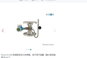 Débitmètre Proline Prowirl 7R2C d'origine, haute qualité, neuf et à bon prix pour ENdress H Auser 7R2C Proline Prowirl 7r2c Flo - Product Image 6