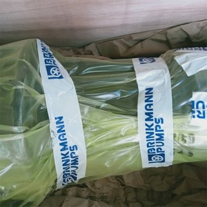 Brinkmann Sgl802 390 X175 <b>Pump</b> <b>Electric</b> <b>Water</b> 1 2 In Discharge Pipe Size Germany - Product Image 3