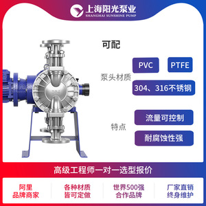 Pompe doseuse à membrane Shanghai Sunshine Pump Industry DJ-D2 en acier inoxydable 316L, électrique, haut débit 1300 L/H, hauteur de refoulement 8 M - Product Image 5
