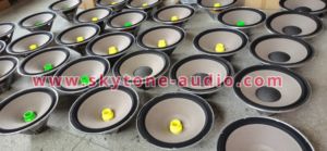 Altavoz <span class=keywords><strong>de</strong></span> 12 Pulgadas con Imán <span class=keywords><strong>de</strong></span> Neodimio 262H-1, Subwoofer Profesional Chino <span class=keywords><strong>de</strong></span> Alta Calidad al Mejor <span class=keywords><strong>Precio</strong></span> - Product Image 4