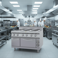 Cuisinière professionnelle électrique à 6 brûleurs en acier inoxydable 304 avec four et contrôle de zone double pour restaurants et hôtels
