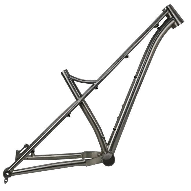 Twin Top Buis Titanium 29er Mountainbike Frame Met Mount Disc Brake