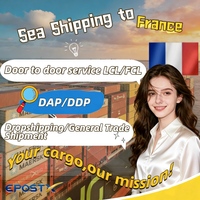 Agente de Transporte Marítimo Profesional de China a Francia, DDP LCL, para Carga General y Logística de Comercio Electrónico, Mejor Precio