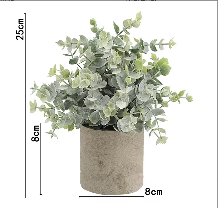 Poudre d'herbe à petit argent ahe379-066