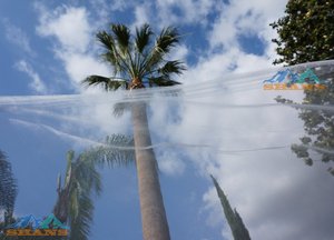 شبكة زراعية مضادة للحشرات/مالا أنتيفيدا - Product Image 3