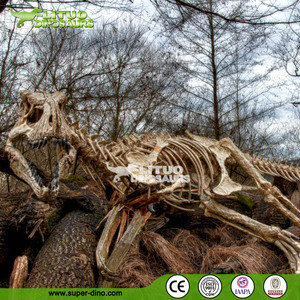 Mô Hình Bộ Xương Khủng Long Lớn Bảo Tàng Khoa Học - Product Image 3