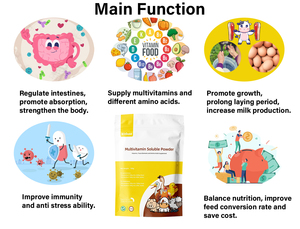 Vitaminas <span class=keywords><strong>para</strong></span> Lechones de Alta Calidad al <span class=keywords><strong>Mejor</strong></span> Precio, Polvo Inmunoestimulante, Multivitaminas y Minerales, Potenciador del Crecimiento, Aditivos <span class=keywords><strong>para</strong></span> <span class=keywords><strong>la</strong></span> Alimentación de Lechones - Product Image 2