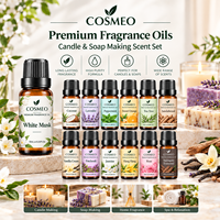 Huiles parfumées de qualité supérieure en gros, 10 ml, marque privée, pour la fabrication de bougies et de savons, pour coffrets cadeaux, diffuseurs d'arômes
