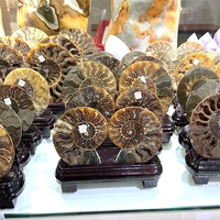 Vente en gros de dalle d'ammoniac naturelle, base en bois, fossiles de madagascar, iridescent, pierres naturelles et minéraux, spécimen pour la décoration