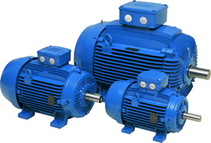 Motor de Inducción Trifásico WEG W21 de Alta Eficiencia, 4P IE3, 11KW, 380V, 50Hz, PTC Termosensible, Bajo Voltaje, CA, a Prueba de Explosiones - Product Image 6