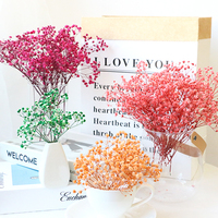 100g par bouquet, fleurs de gypsophile préservées, colorées rose et blanc, toucher réel, souffle de bébé