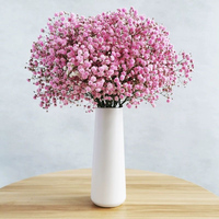Couronne de fleurs décoratives souffle de bébé blanc vraies fleurs pressées séchées naturelles pour l'artisanat d'art bricolage