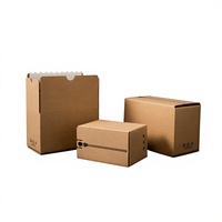 Boîte cadeau oblongue en carton kraft écologique personnalisée, biodégradable, recyclable, avec bande adhésive auto-collante facile à déchirer
