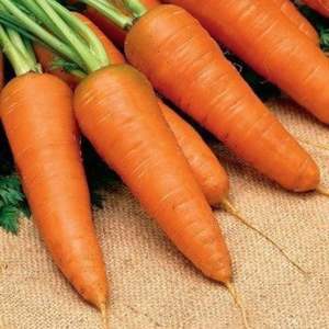 Carottes fraîches biologiques du Vietnam de haute qualité avec saveur naturelle sucrée pour les jus, les soupes, les collations et la distribution mondiale - Product Image 6