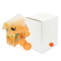Sac à bavette aseptique de magasin de robinet en plastique 3l 5l 10l 20l personnalisé dans une boîte pour boisson de jus liquide eau potable vin avec vanne papillon