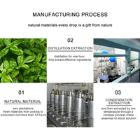 Huiles essentielles 100% pures en gros, raffermissantes, naturelles, lavande, menthe poivrée, géranium, citron vert, rose, bergamote, hydratantes, éclaircissantes