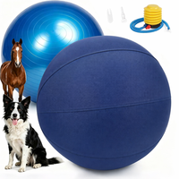 Ballon de dressage et de jeu pour chats, chiens et chevaux, en nylon 1680D anti-morsure, imperméable et durable, avec panneau longitudinal de 10 à 40 pouces et housse
