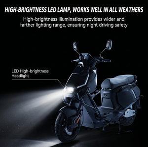 Moto électrique PACIFIC 800W 60V 24AH avec batterie au lithium, pneus 3.0-12, moteur sans balais, pour adulte, fabricant OEM - Product Image 4