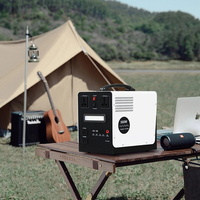 Centrale Électrique Portable 1000W en Promotion, Batterie LiFePO4, Stockage d'Énergie Solaire MPPT, Banque d'Alimentation Domestique, Sortie AC, Métal, Garantie 3 Ans
