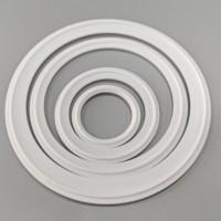 Heißer Verkaufs dicht ring Weißer runder robuster Kunststoff klemmen PTFE-Dichtung sring