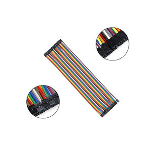 20Cm Memanfaatkan Kabel Medis Perempuan Ke Perempuan Dupont Kawat Latihan Pengolahan Kawat 2.0Mm Sampai 2.54Mm Kabel Roti - Product Image 4