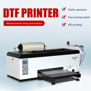 Nieuwe Transcolor Digitale 33cm Volledig Automatische Epson TX800 XP600 DTF Printer Rol-tot-Rol T-shirt Heat Transfer PET Film 1 Jaar - Product Image 3