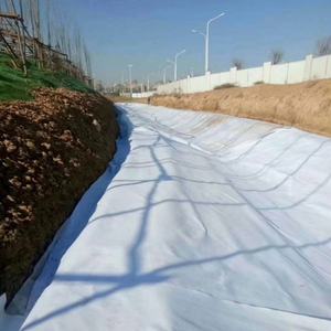 Géotextile en filament de polypropylène pour le traitement des fondations de barrages et de digues - Product Image 4