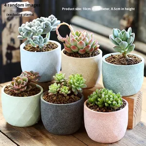 Moderne coréen 2 pièces ensemble <span class=keywords><strong>rebord</strong></span> de <span class=keywords><strong>fenêtre</strong></span> fleur en pot porte-plante succulente Cactus Pot décoration pour étagères en gros - Product Image 4