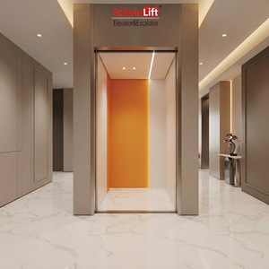 Ascenseur domestique sans engrenages à thème orange, capacité 400 kg, pour 2 à 5 étages, petit ascenseur sans gaine, alimenté en courant alternatif, moderne, pour villa et hôtel - Product Image 1