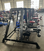 Máquina de Gimnasio Minolta para Entrenamiento de Fuerza, Ejercicio de Brazos, MÁQUINA DE TRICEPS ALTERNADOS
