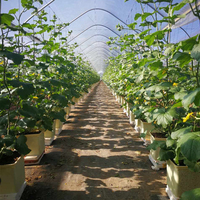 Serre agricole aquaponique hydroponique blanche Système de seaux hollandais avec couvercles pour la culture de tomates, poivrons et concombres