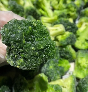 Vente en gros directe du fabricant : Légumes surgelés biologiques de haute qualité, brocoli vapeur prêt à consommer, meilleur prix - Product Image 2