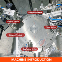 Automatische zakjesafvulmachine voor appelsaus, mangopulp, aardbeienpasta en fruitjam, inclusief afvullen en afsluiten.