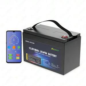 BMS built-in long life lifepo4 12v 100ah deep cycle lithium-ion battery lifepo4 battery pack
