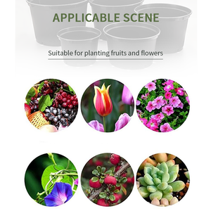 2021 léger Usine double couleur d'intérieur Pépinière Plante pot de fleur Pour jardin - Product Image 5