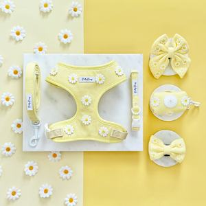 Pas d'évasion matériaux recyclés collier de chiot de luxe Kit pour animaux de compagnie pas de traction réglable en gros chien laisse collier et harnais ensemble - Product Image 2