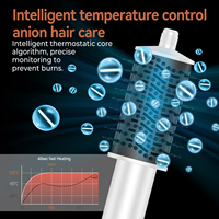 Styler capillaire 8 en 1 OEM, 110 000 tr/min, séche-cheveux ionique pliable haute vitesse, brosse à air chaud professionnelle pour salon, multi-styler